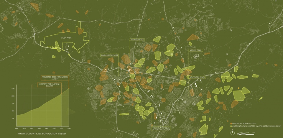 2023 ASLA ANALYSIS AND PLANNING AWARD OF HONOR Nicks Creek Longleaf Reserve Conservation Management Plan by NC State University Coastal D...