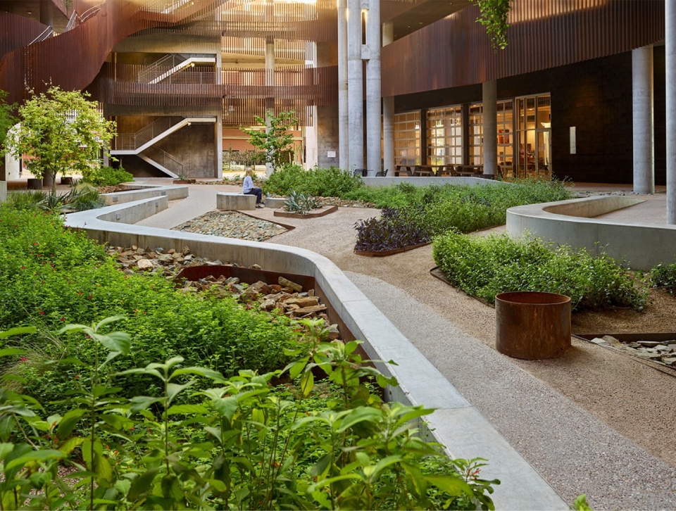 2023 ASLA GENERAL DESIGN AWARD OF HONOR University of Arizona Environment Natural Resource II by COLWELL SHELOR LANDSCAPE ARCHITECTURE