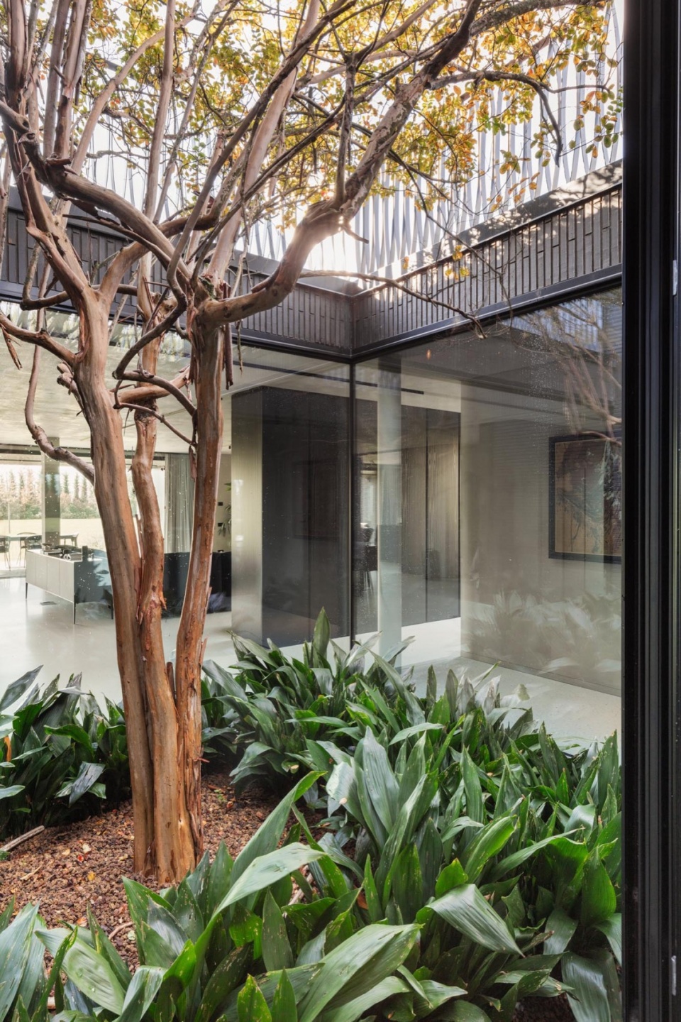 house in the park by mide architetti