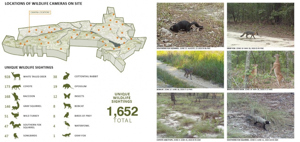 2023 ASLA ANALYSIS AND PLANNING AWARD OF HONOR Nicks Creek Longleaf Reserve Conservation Management Plan by NC State University Coastal D...