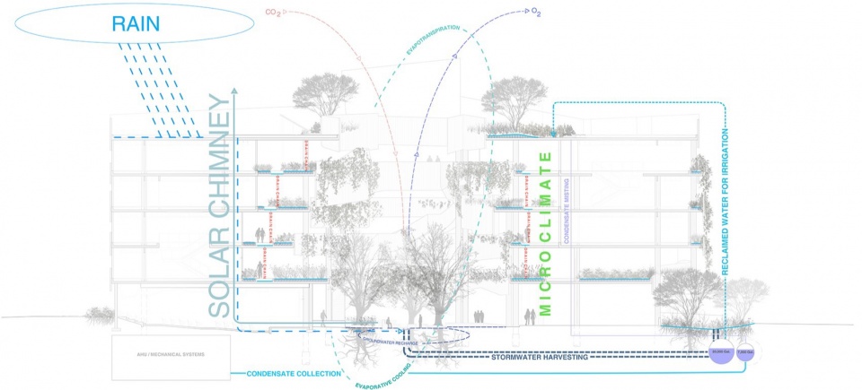 2023 ASLA GENERAL DESIGN AWARD OF HONOR University of Arizona Environment Natural Resource II by COLWELL SHELOR LANDSCAPE ARCHITECTURE