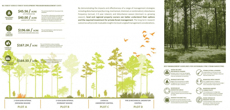 2023 ASLA ANALYSIS AND PLANNING AWARD OF HONOR Nicks Creek Longleaf Reserve Conservation Management Plan by NC State University Coastal D...