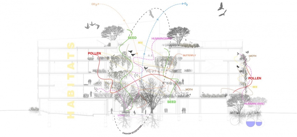2023 ASLA GENERAL DESIGN AWARD OF HONOR University of Arizona Environment Natural Resource II by COLWELL SHELOR LANDSCAPE ARCHITECTURE