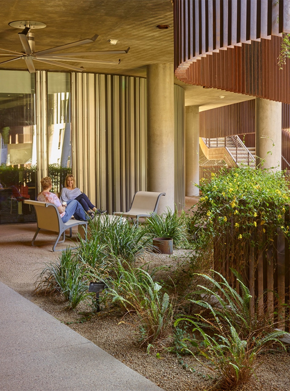 2023 ASLA GENERAL DESIGN AWARD OF HONOR University of Arizona Environment Natural Resource II by COLWELL SHELOR LANDSCAPE ARCHITECTURE