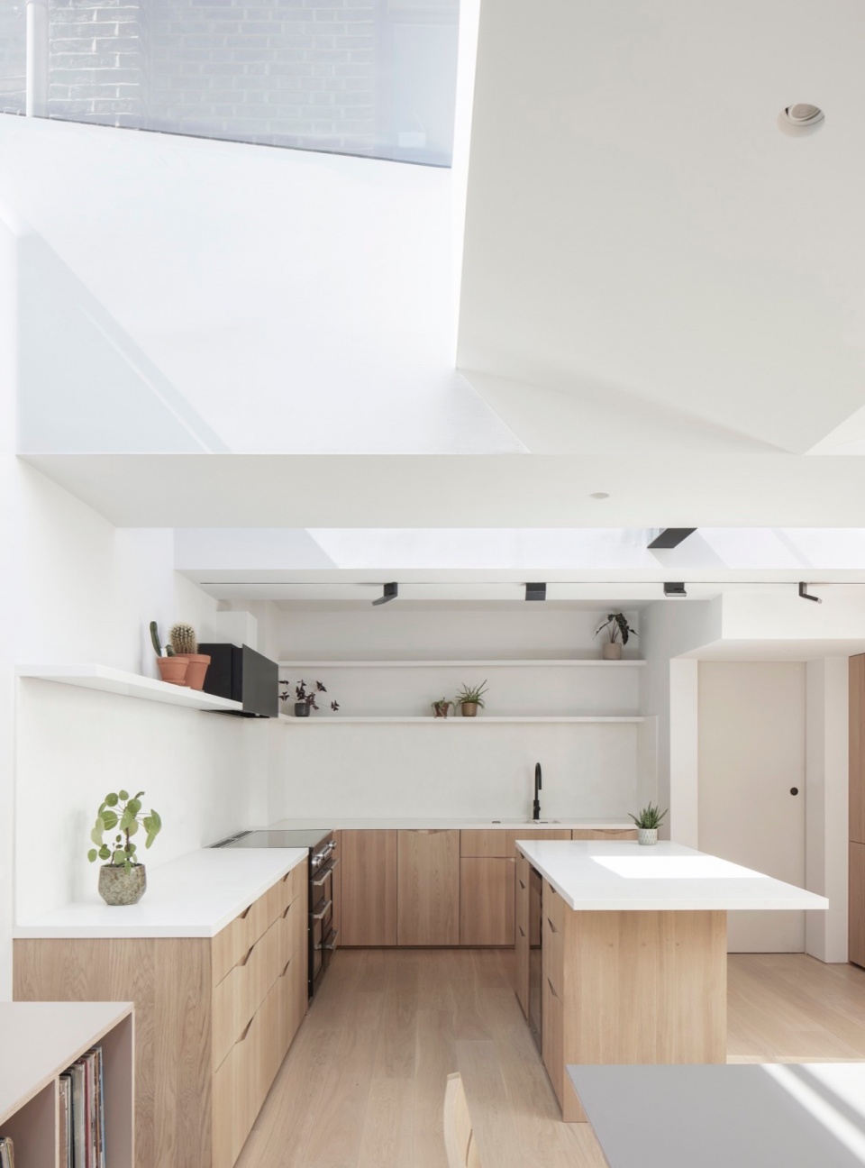 Butterfly House DHaus Company
