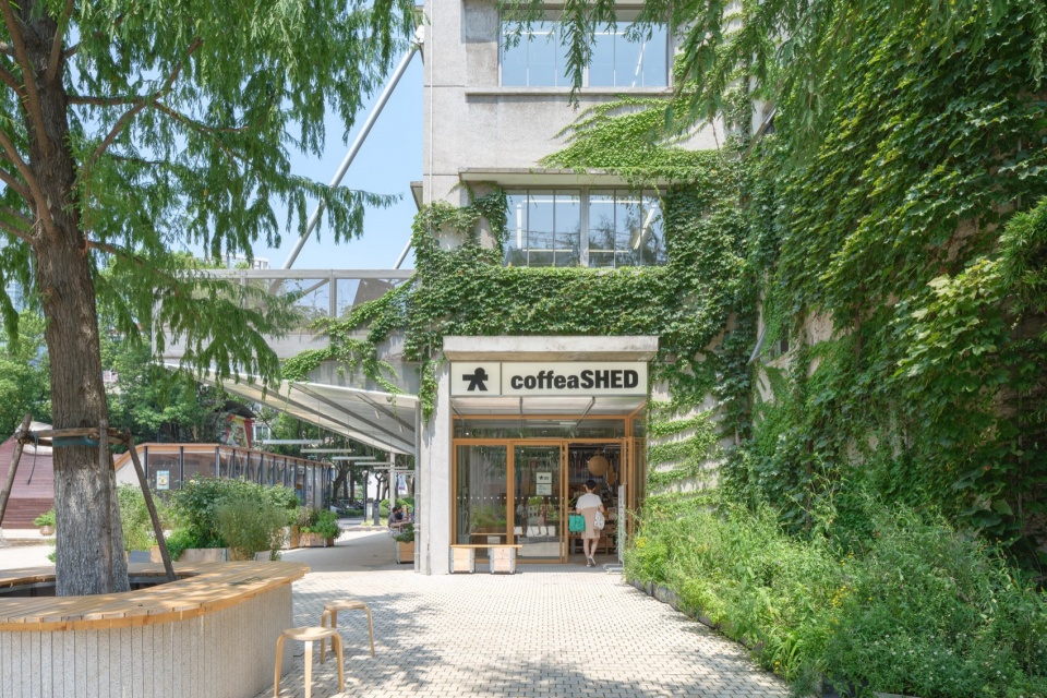 coffea SHED kooo Architects