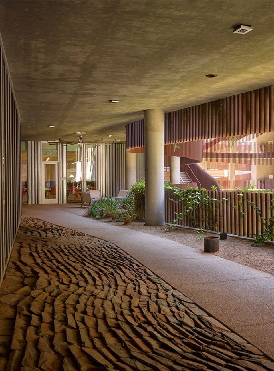 2023 ASLA GENERAL DESIGN AWARD OF HONOR University of Arizona Environment Natural Resource II by COLWELL SHELOR LANDSCAPE ARCHITECTURE