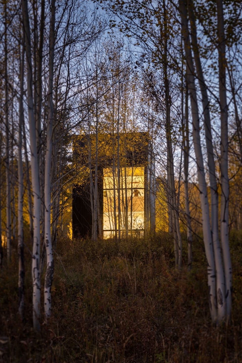 shinemaker by clb architects