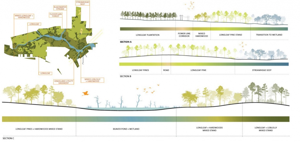 2023 ASLA ANALYSIS AND PLANNING AWARD OF HONOR Nicks Creek Longleaf Reserve Conservation Management Plan by NC State University Coastal D...