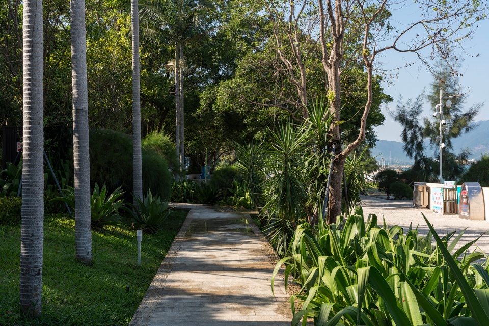 East Sea Dike Renovation Project