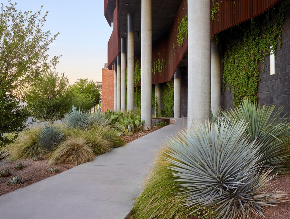 2023 ASLA GENERAL DESIGN AWARD OF HONOR University of Arizona Environment Natural Resource II by COLWELL SHELOR LANDSCAPE ARCHITECTURE