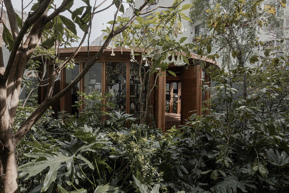 xinu marsella by esrawe studio cadena