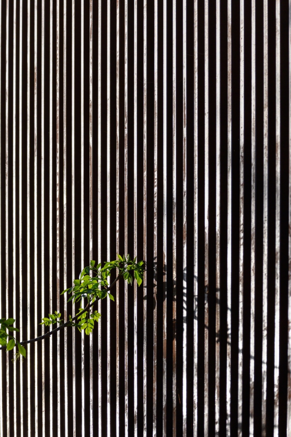 casa mc by arq christian schlatter
