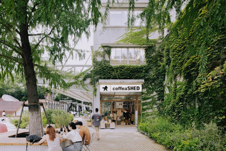 coffea SHED kooo Architects