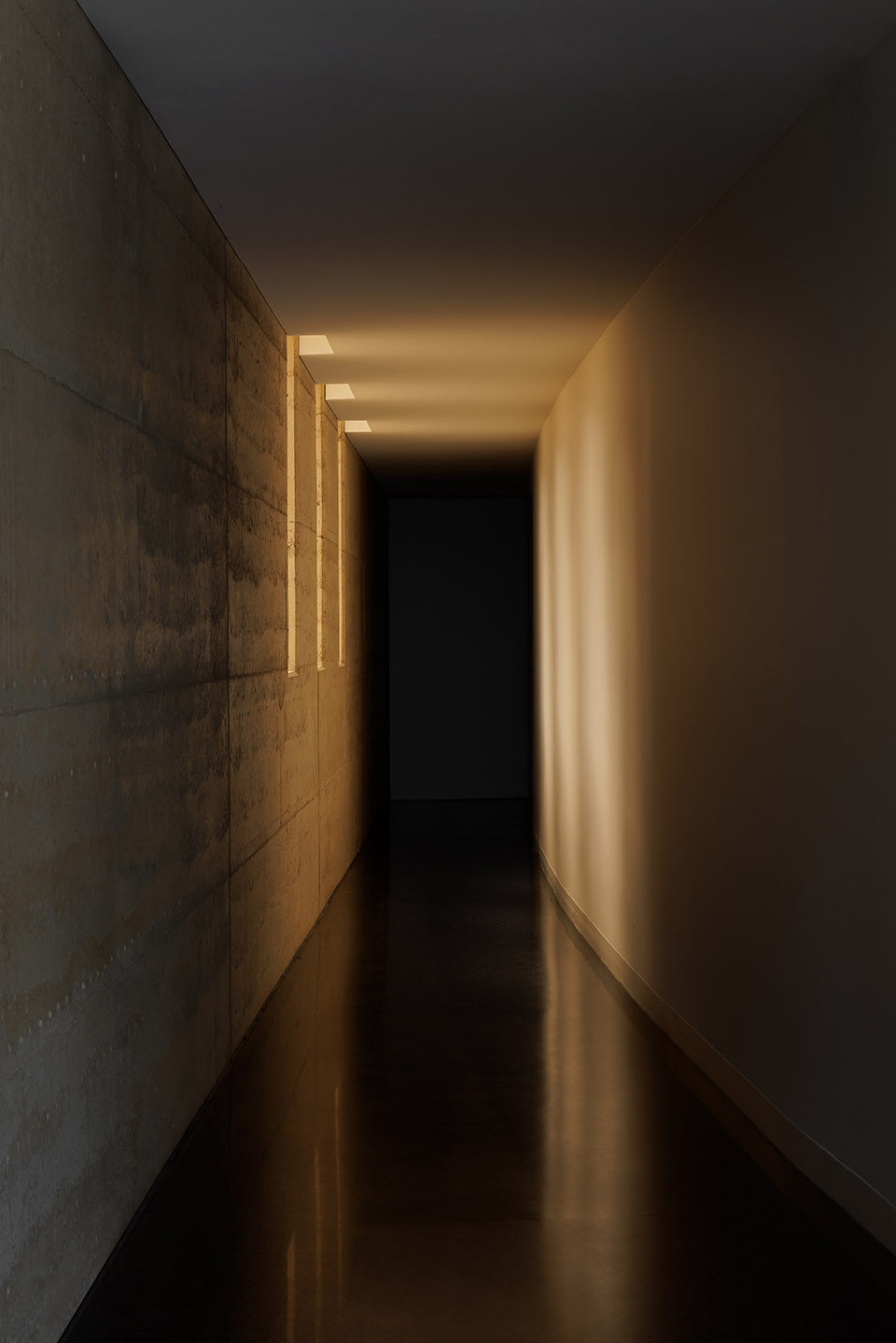 peninsula house by wood marsh
