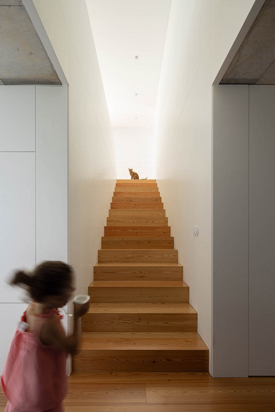 casa do sobreiro by skemba studio
