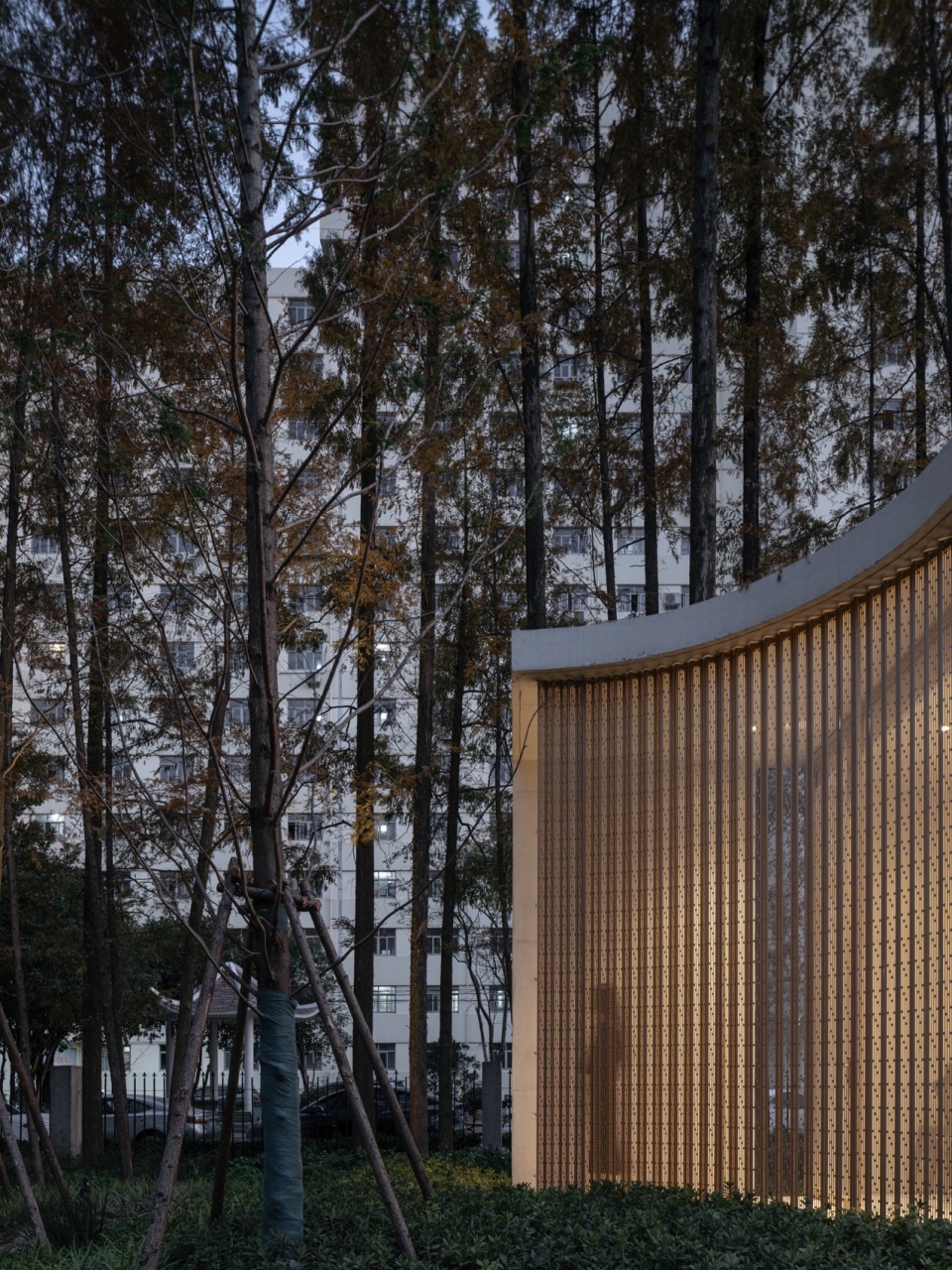 林下的林隐轩一角 @CreatAR Images tianlin park tourist center shanghai by viascape design