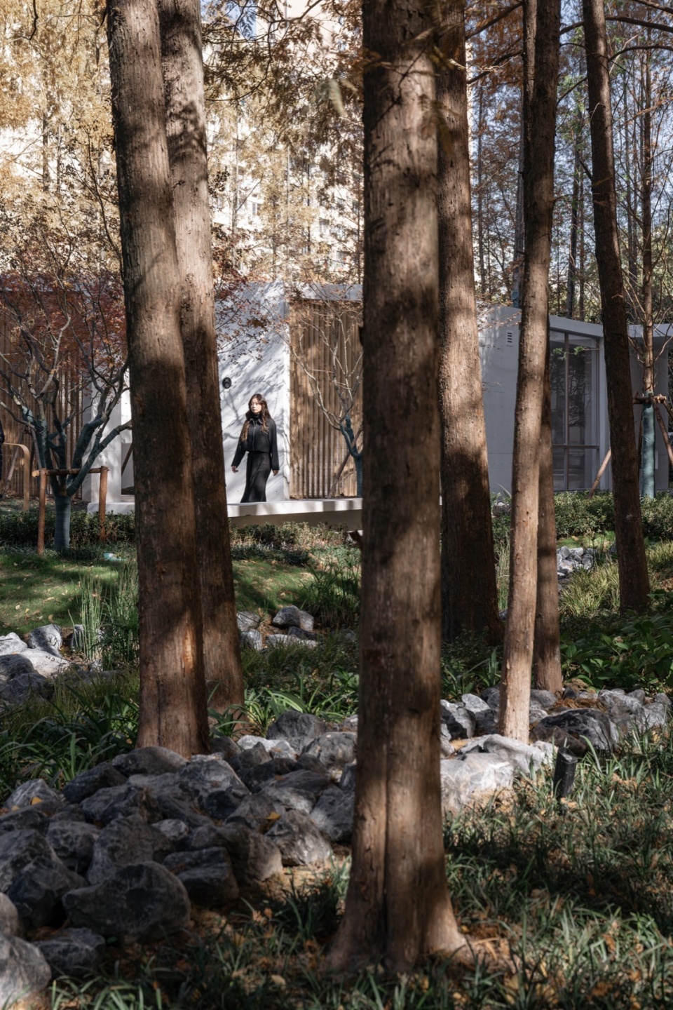 从林下空间看林隐轩 @CreatAR Images tianlin park tourist center shanghai by viascape design