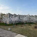 中国美术学院良渚校区一期全场落成，杭州 / 非常建筑