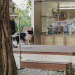 Flight咖啡店，深圳 / 753Studio