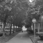 1906科技园扬韬广场改造，广州 / 竖梁社+华南理工大学建筑设计研究院+石木川+细部设计工作室
