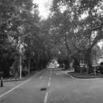 1906科技园扬韬广场改造，广州 / 竖梁社+华南理工大学建筑设计研究院+石木川+细部设计工作室