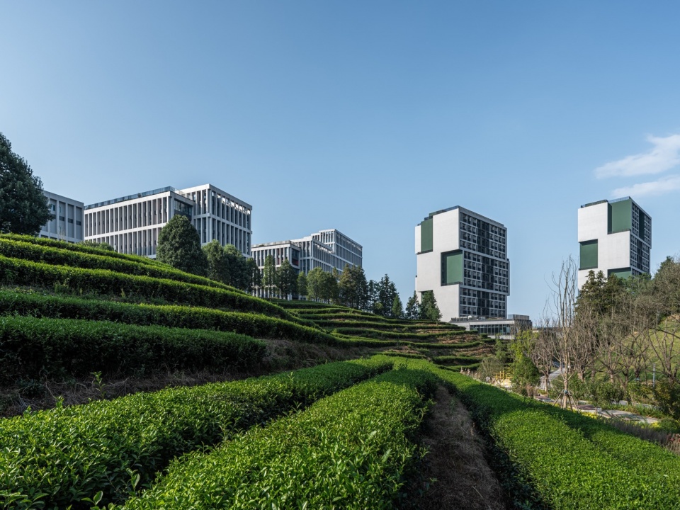 Xiufeng Student Apartment Complex China by THAD