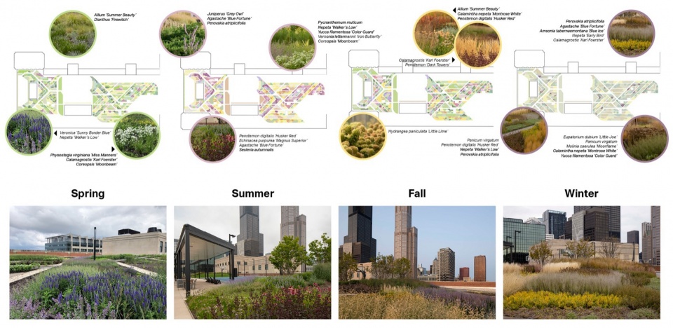 The Meadow at the Old Chicago Post Office by Hoerr Schaudt