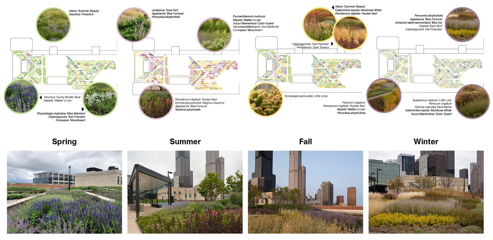 2023 ASLA GENERAL DESIGN AWARD OF HONOR: The Meadow at the Old Chicago ...