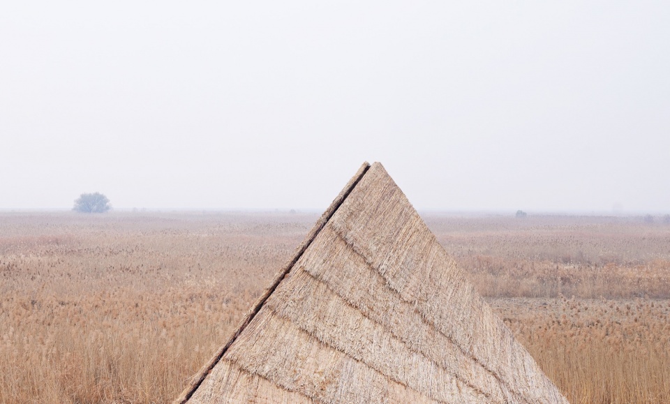 healing mountainby studio duyang