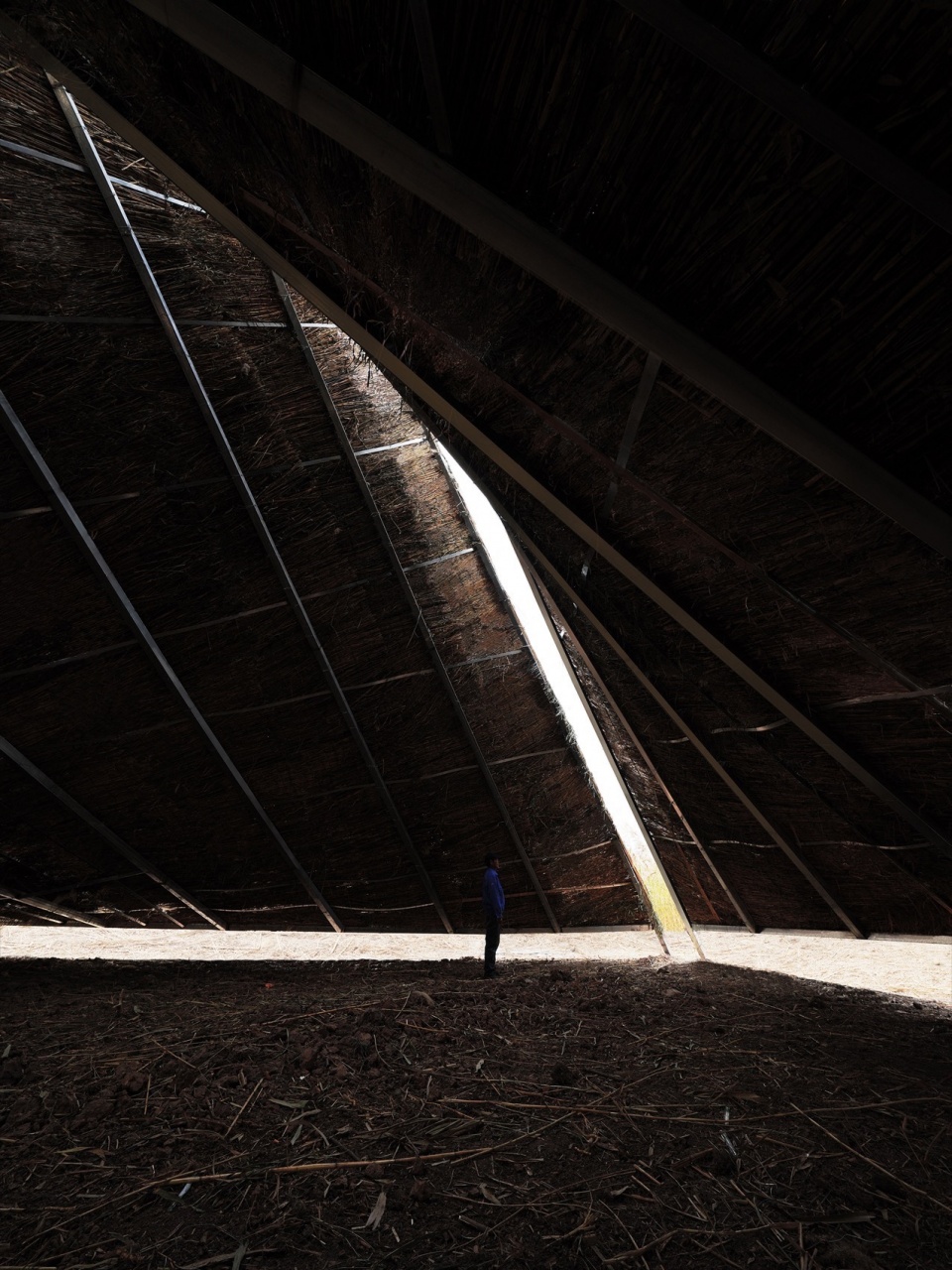 healing mountainby studio duyang