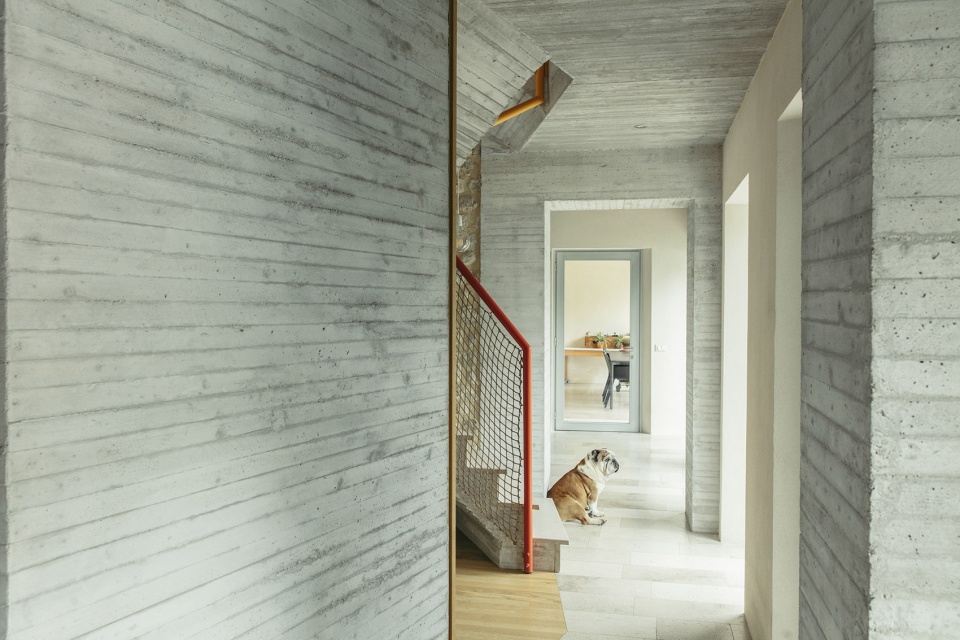 ottos house by elasticofarm
