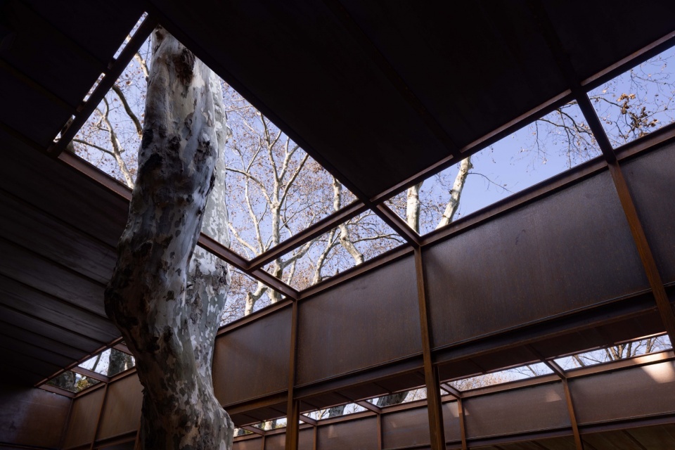 coffee shed of luxun park by shisuo design