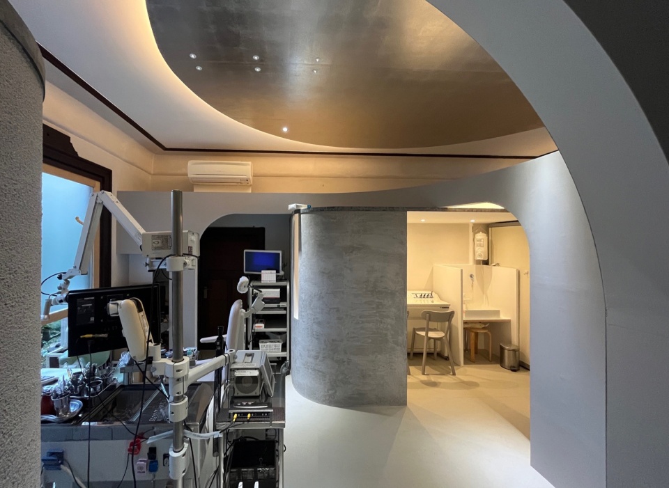 suzuki ent clinic by td atelier