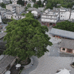 先锋巍山崇正书院，大理 / 迹·建筑事务所（TAO）