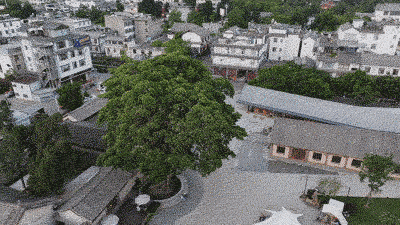 城市鸟瞰 Urban aerial view ©存在建筑 建筑摄影 Arch Exist Photography