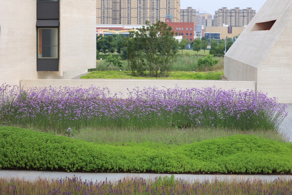 suzhou mountain bilingual school landscape by open zscape