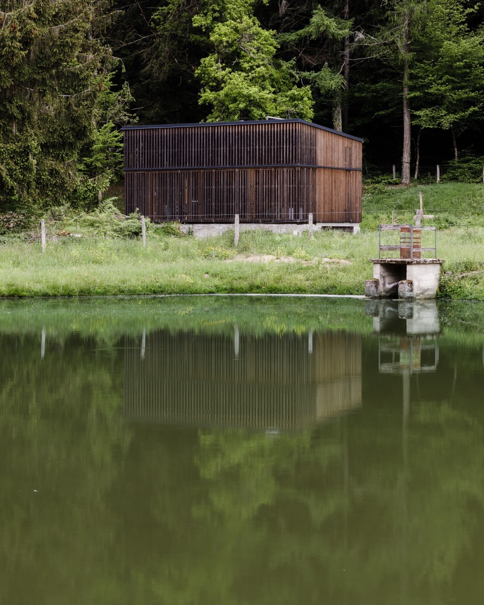 Etang NEUME