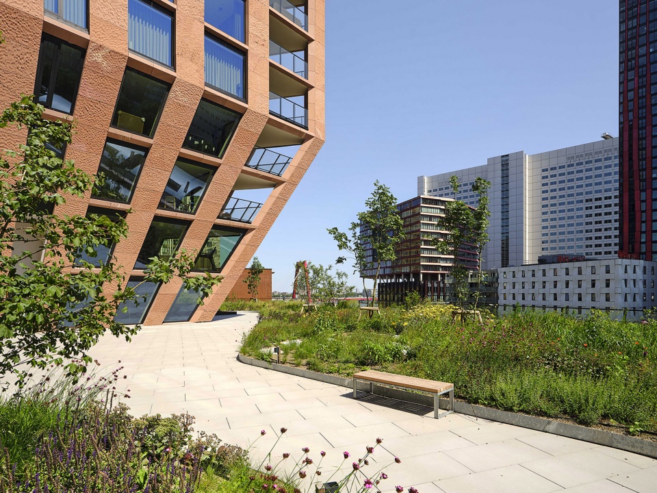casanova by barcode architects
