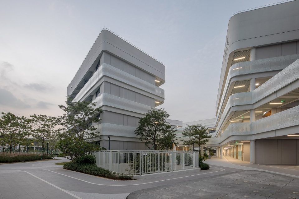 sustech affiliated experimental school by cube design