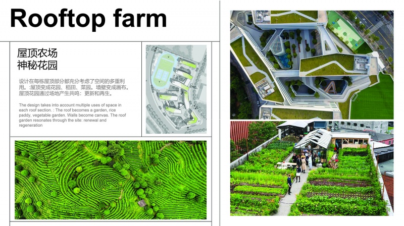 sustech affiliated experimental school by cube design
