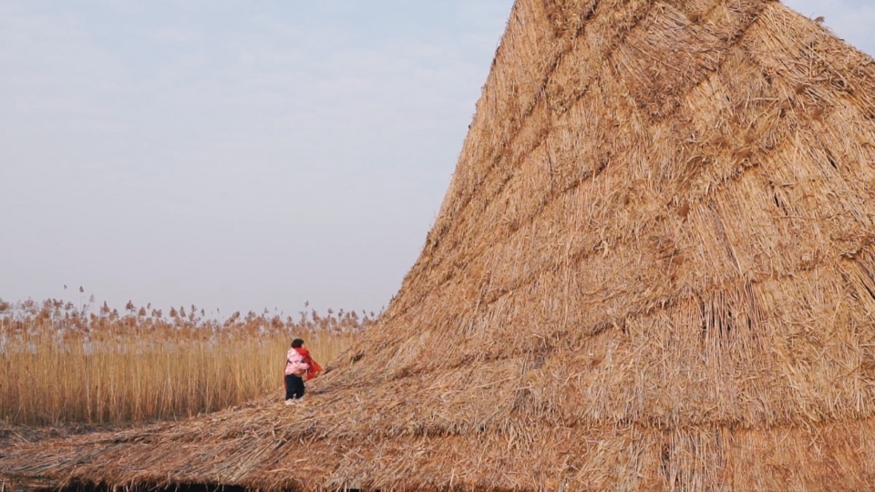 healing mountainby studio duyang