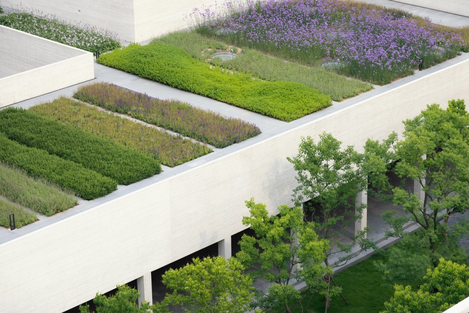 suzhou mountain bilingual school landscape by open zscape