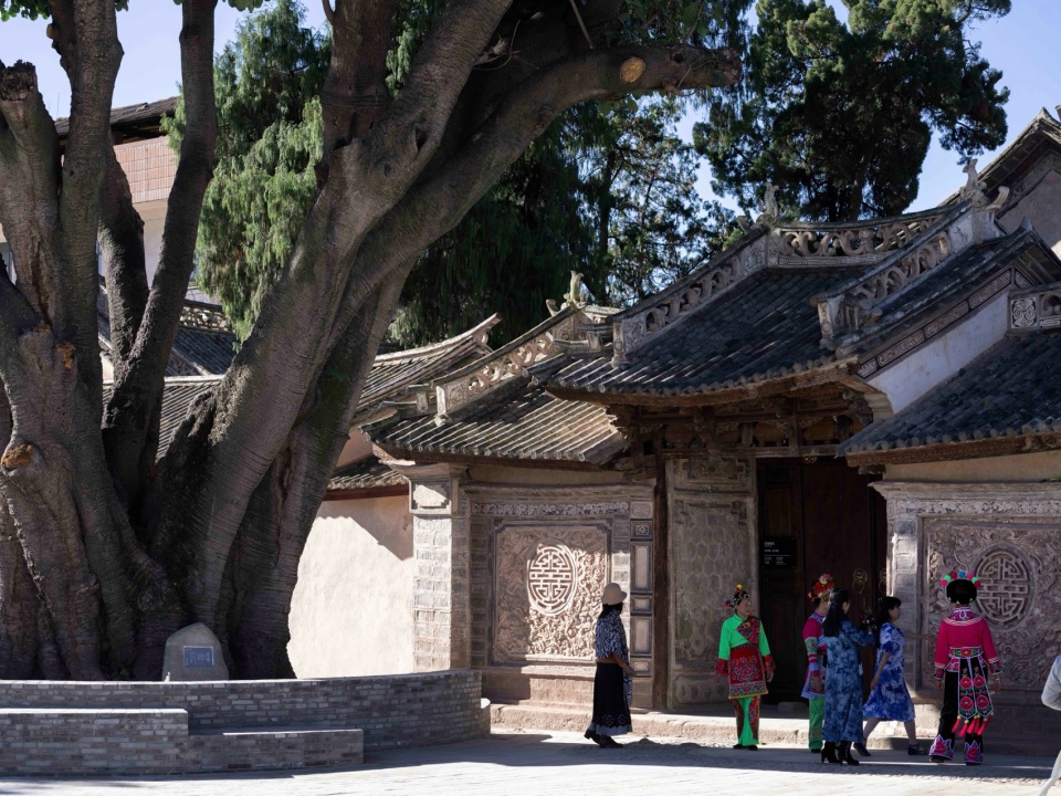 入口处三百余年树龄的古榕树 330 year old Banyan tree at the entrance ©存在建筑 建筑摄影 Arch Exist Photography