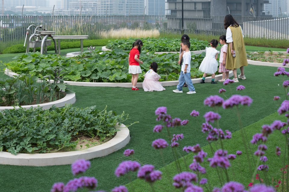 suzhou mountain bilingual school landscape by open zscape