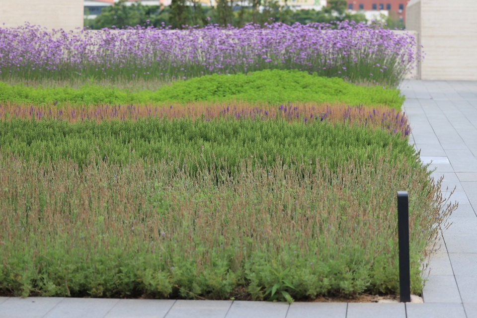 suzhou mountain bilingual school landscape by open zscape
