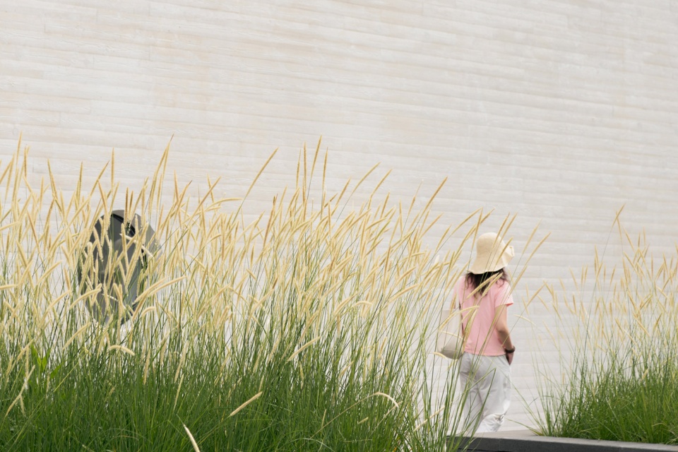 suzhou mountain bilingual school landscape by open zscape