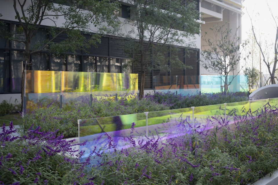 suzhou mountain bilingual school landscape by open zscape