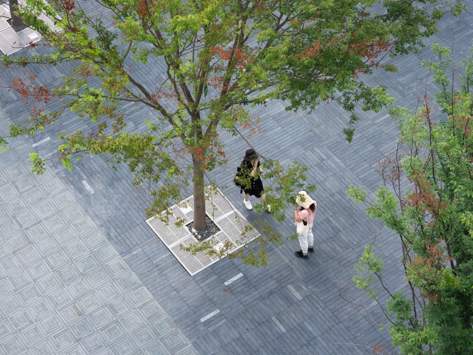 suzhou mountain bilingual school landscape by open zscape