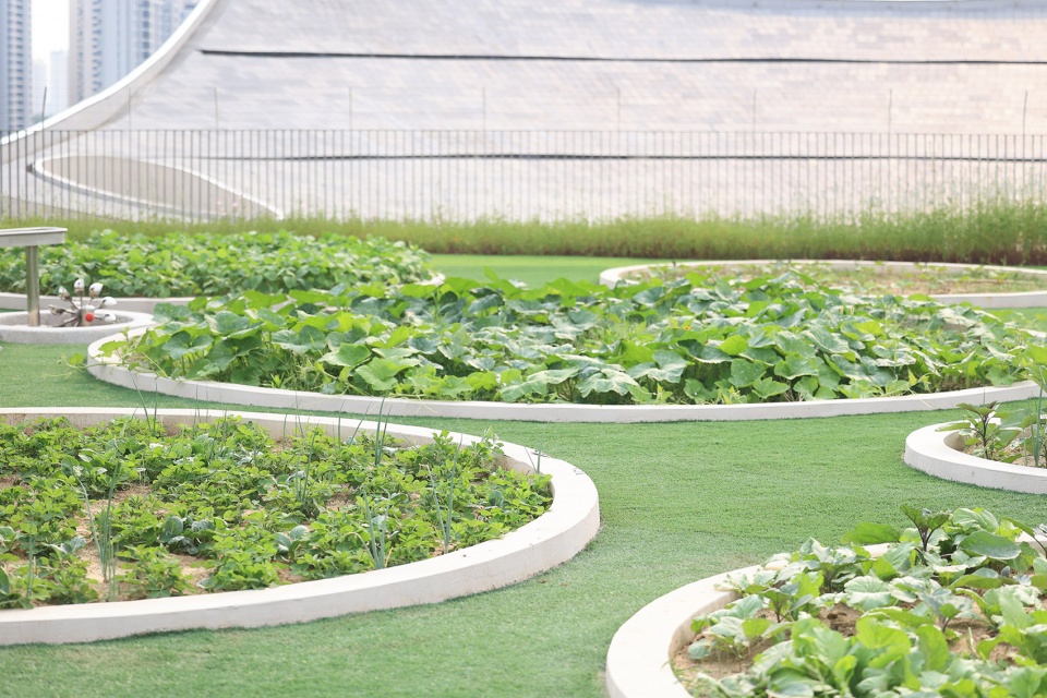 suzhou mountain bilingual school landscape by open zscape
